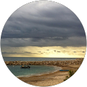 Myriam Landau profile picture