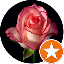 Dominique Renaud profile picture